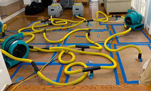 Professional Water Damage Repair technician working in Cedar Grove, NC