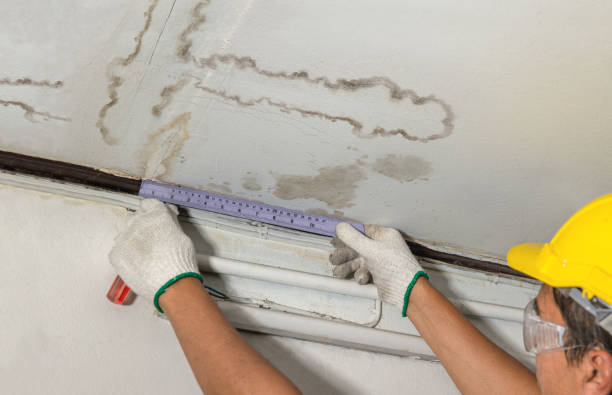 Affordable Water Damage Repair solutions in Cedar Grove, NC